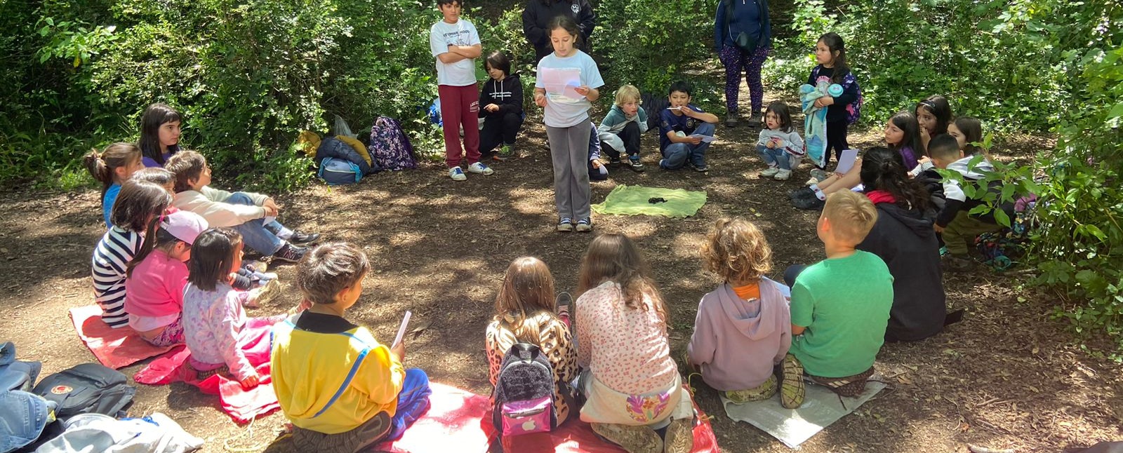 Estudiantes reunidos en círculo en el bosque durante una salida pedagógica